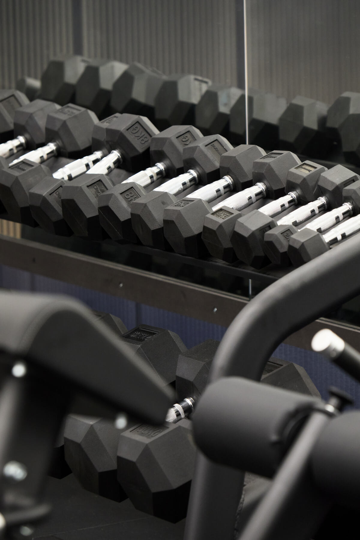 Rastrelliera di manubri nella palestra Padeya